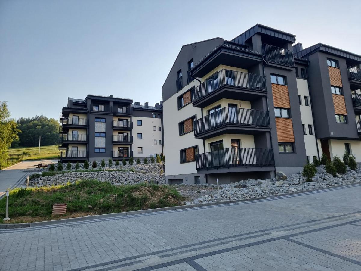 Wislanskie Skije Apartment Wisla