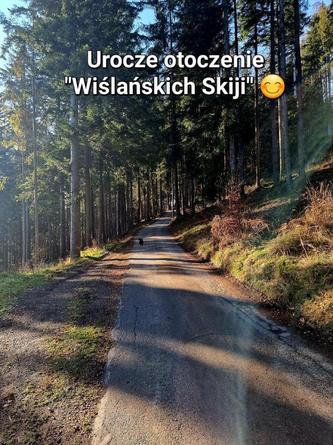 Wislanskie Skije Apartment
